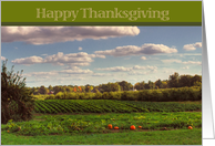 Happy Thanksgiving-Farm with pumpkin harvest card