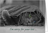 Loss of Cat Sympathy-Cat card