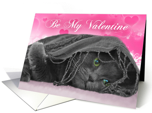Valentine's Day-grey cat card (890852)