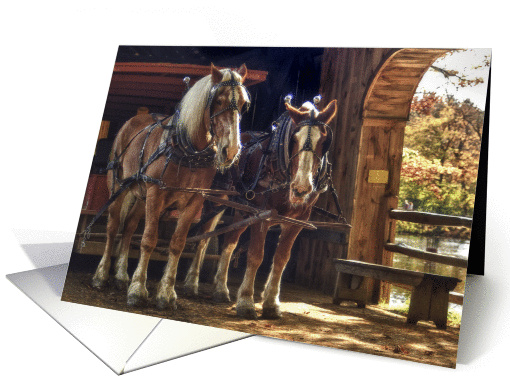 Autumn-horses card (920129)