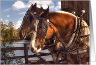Autumn-horses card