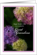 Happy Mother’s Day Great Grandma, Painted Hydrangea Flowers card