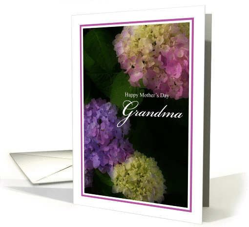 Happy Mother's Day Grandma, Painted Hydrangea Flowers card (1171684)