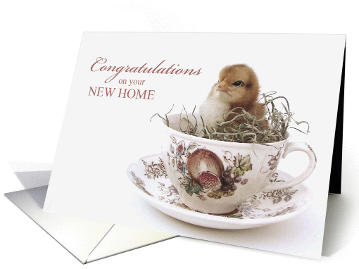 Congratulations New Home, Teacup Chick card (1172402)