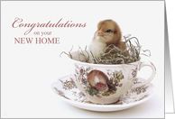 Congratulations New Home, Teacup Chick card