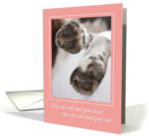 Congratulations New Girl Puppy / Dog card (1313850)