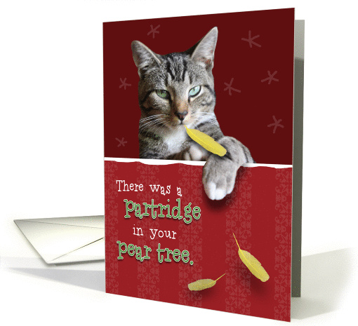 Humorous Naughty Cat Christmas card (1318824)