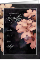 Sympathy Loss of Father, Peach Garden Phlox card