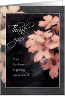 Thank You, Peach Garden Phlox Blank Card