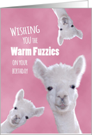 Warm Fuzzies on Your Birthday with Cute Llamas card