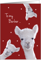 To my Barber, Warm Fuzzy Llama Christmas card