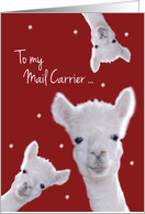 Mail Carrier, Warm Fuzzy Llama Christmas card