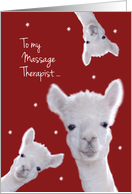 Massage Therapist,...