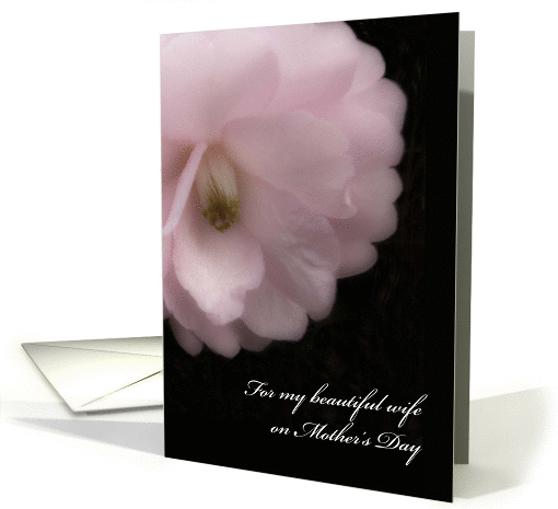 Mother's Day for Wife, Pink Camellia Flower card (1332502)