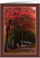 Missing You on Thanksgiving, Autumn Trees card
