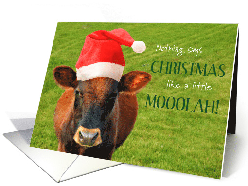 Christmas Money Card, Cow with Moolah card (1348318)