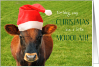 Christmas Money Card, Cow with Moolah card