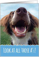 Congratulations on Great Report Card with Happy Dog card