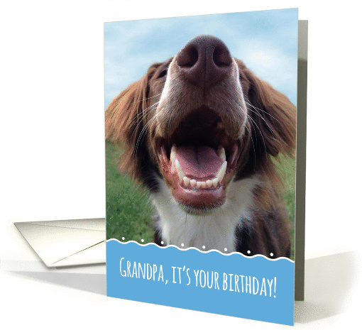 Grandpa Birthday, Happy Dog with Something to Smile About card