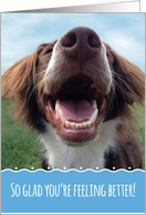 Glad You’re Feeling Better, Smiling Dog card