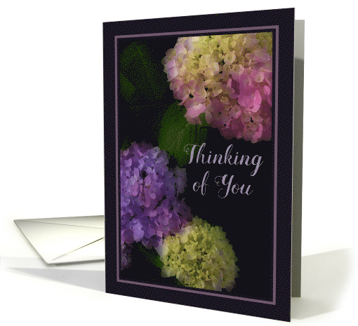 Thinking of You, Lovely Hydrangea card (1500816)