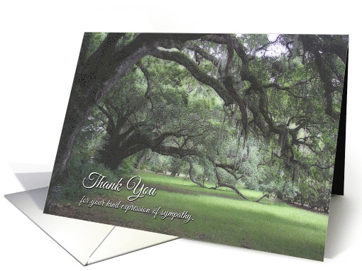 Thank You for Sympathy, Live Oak with Spanish Moss card (1510048)