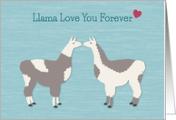 Llama Love You Forever Anniversary card