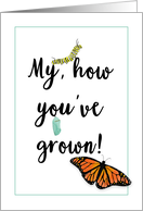 My, How You’ve Grown, Monarch Butterfly Birthday card