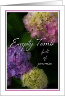 Empty Tomb Full of Promise, Easter Hydrangea Flowers card