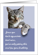 Funny Happy Birthday from the Cat card