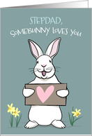 Somebunny Loves you Stepdad Easter Bunny Rabbit card