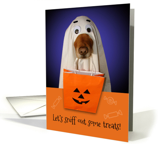 Happy Halloween, Treat Sniffing Ghost Dog card (869604)
