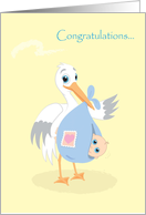 Congratulations, Baby Boy, You’ve Got Male, Stork with Baby card