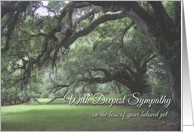 Sympathy, Loss of Pet, Spanish Moss on Live Oaks card