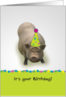 It’s Your Birthday! Suey’t! Party Hat Pig card