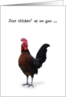 Get Well, Humorous Rooster, Checking Up on You Card