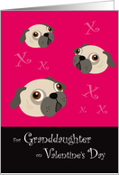 Granddaughter Valentine’s Day, Pugs and Kisses card