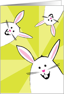 Happy Easter, White Funny Bunnies card