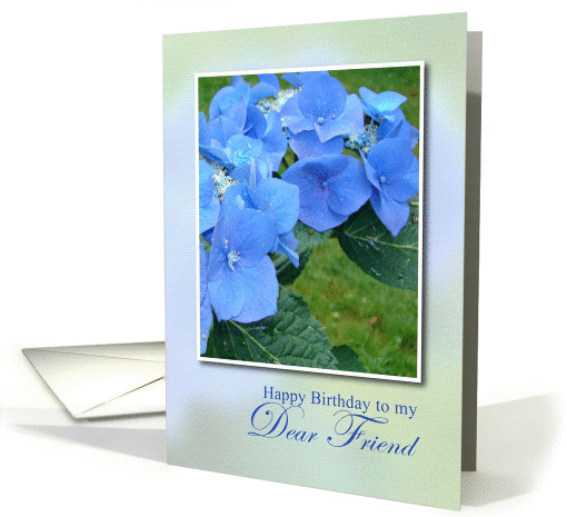 Happy Birthday Dear Friend, Blue Hydrangia card (906249)