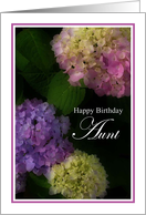 Happy Birthday Aunt, Pretty Hydrangia Card