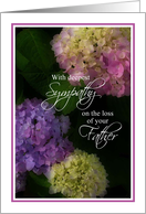 Deepest Sympathy Loss of Father, Lovely Painted Hydrangia Flowers card