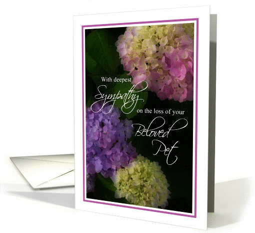 Deepest Sympathy Loss of Pet, Painted Hydrangea Flowers card (956099)