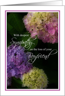 Sympathy Loss of Boyfriend, Painted Hydrangea Flowers card