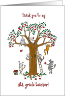 Thank you to grade 11 teacher, Cute cats climb apple tree card