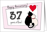 Happy 37th Wedding Anniversary - Two cats in love card