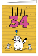 Happy 34th Birthday, Not over the hill just yet, Cat and mice card