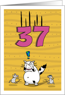 Happy 37th Birthday, Not over the hill just yet, Cat and mice card