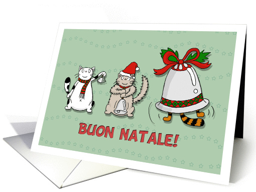 Merry Christmas General (Italian) - Cute cats play music... (858693)