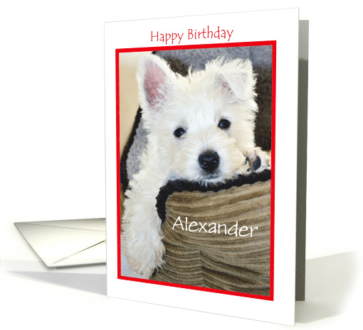 Happy Birthday Cute Puppy - Customisable Name card (1187784)