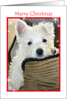 Merry Christmas Cute Puppy card